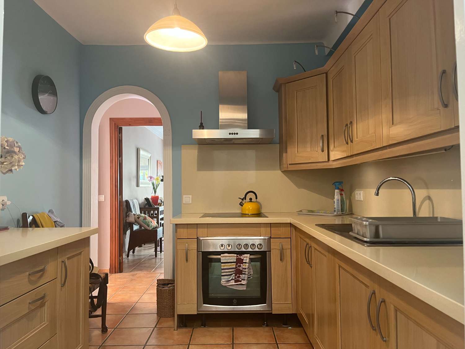 Woning te koop in Urbanización Santa Rosa (Torrox)